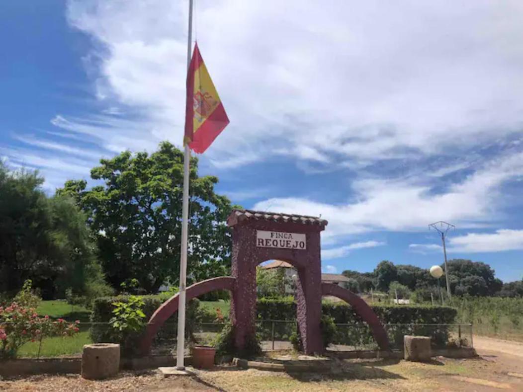 Casa Rural Finca Requejo Cerca De Benavente Tr 49426 Manganeses de la Polvorosa 外观 照片