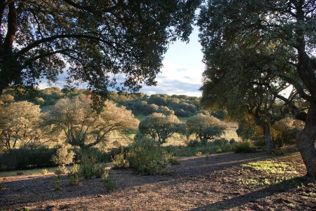 Casa Rural Finca Requejo Cerca De Benavente Tr 49426 Manganeses de la Polvorosa 外观 照片