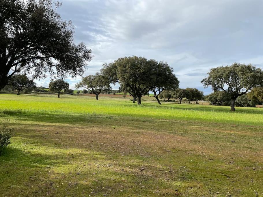 Casa Rural Finca Requejo Cerca De Benavente Tr 49426 Manganeses de la Polvorosa 外观 照片