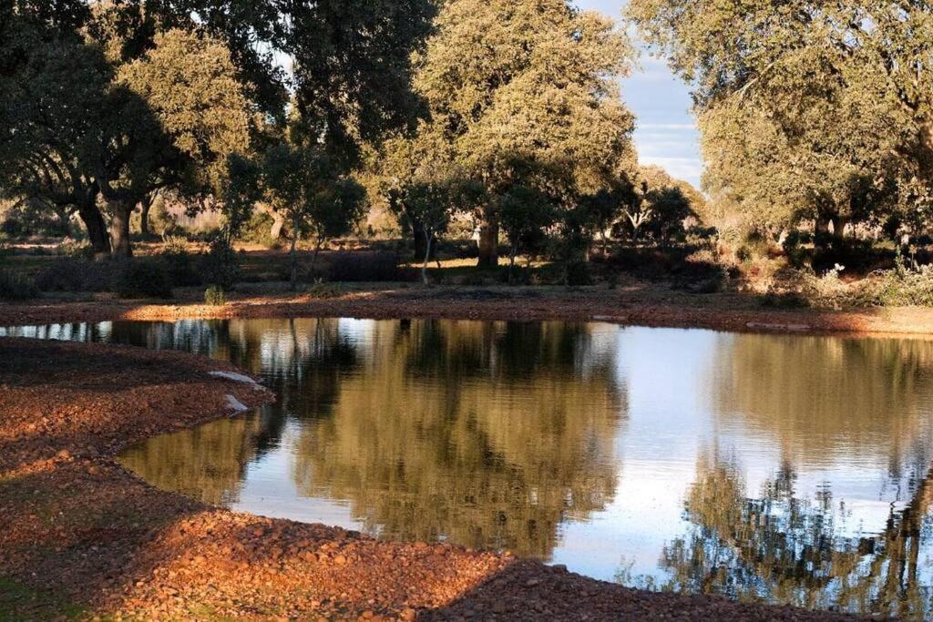 Casa Rural Finca Requejo Cerca De Benavente Tr 49426 Manganeses de la Polvorosa 外观 照片